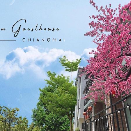 Bloom Guesthouse Chiang Mai Extérieur photo