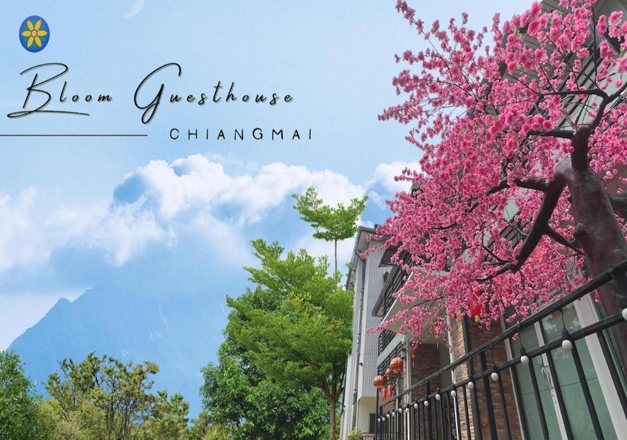 Bloom Guesthouse Chiang Mai Extérieur photo